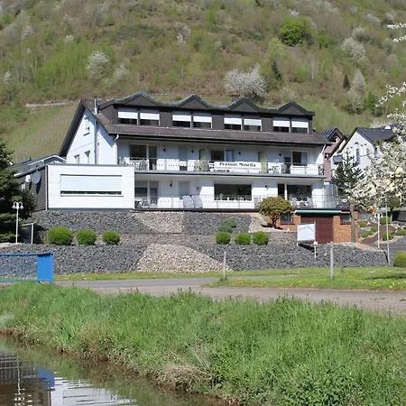 Pension Mosella , Appartement-Wohnung Mit Balkon Und Moselblick شقة *