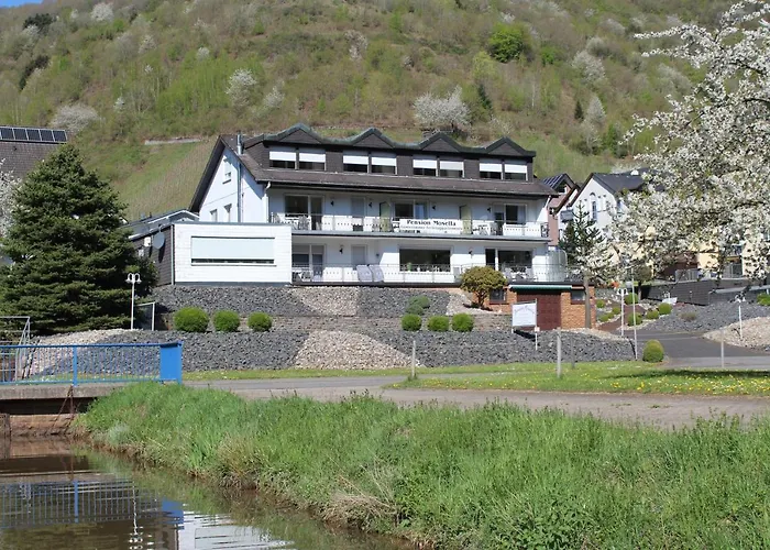 Pension Mosella , Appartement-Wohnung Mit Balkon Und Moselblick Daire *